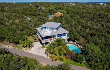 Blue Tang - Abaco - Elboy Cay (30)