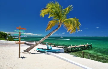 The-Perky-Pelican-Abaco-41.webp